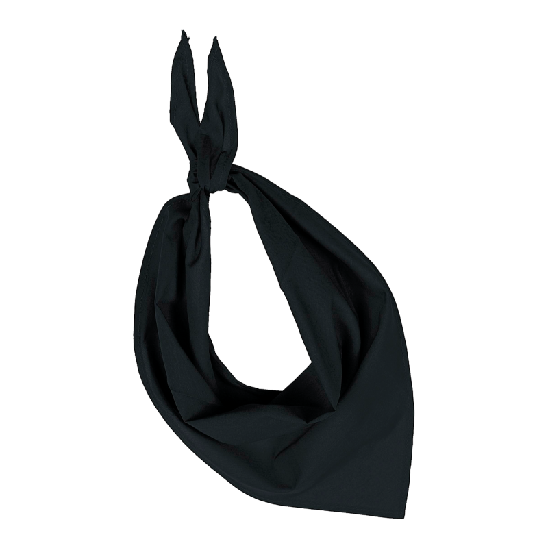 Fiesta - Foulard