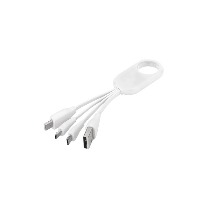 Câble de chargement USB-C 4 en 1 