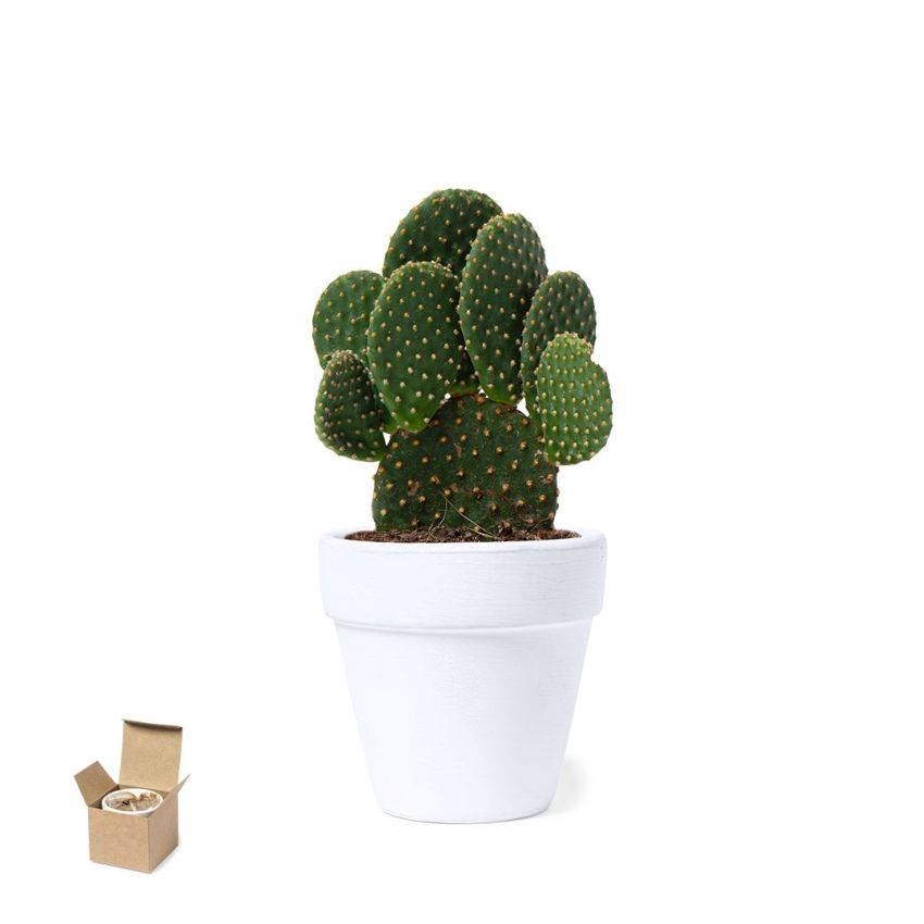Pot de Fleurs Konte