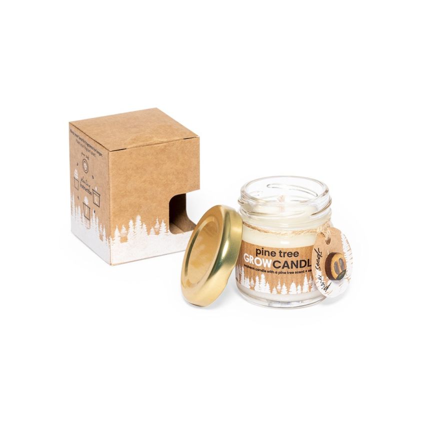 Bougie Parfumée Lisse