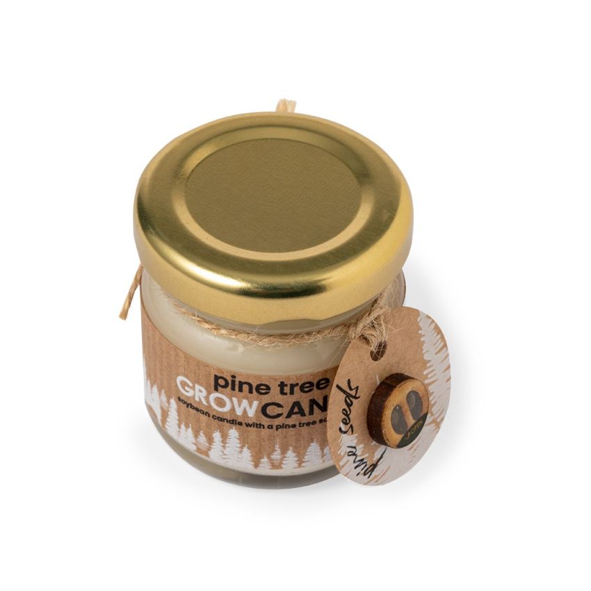 Bougie Parfumée Lisse