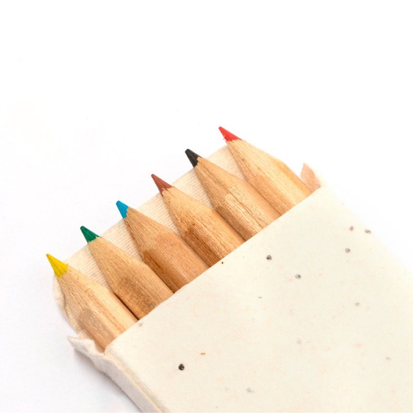 Boîte Crayon Graines Delar