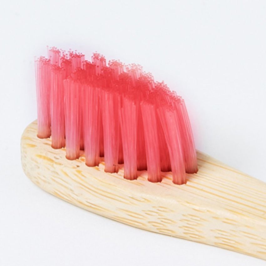 Brosse à dents Becu
