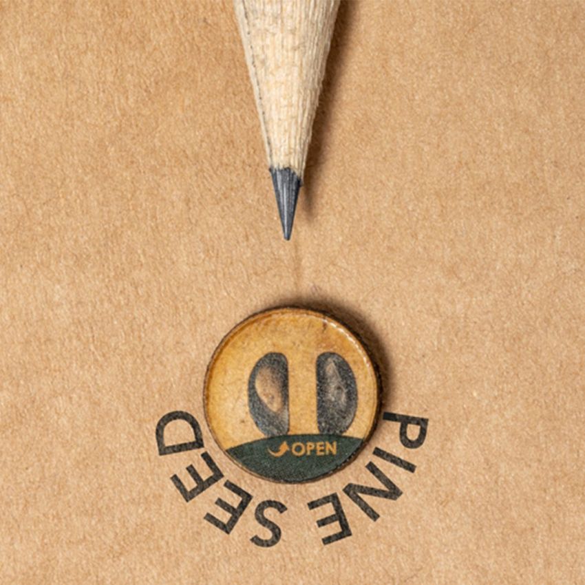 Crayon Graines Étesio