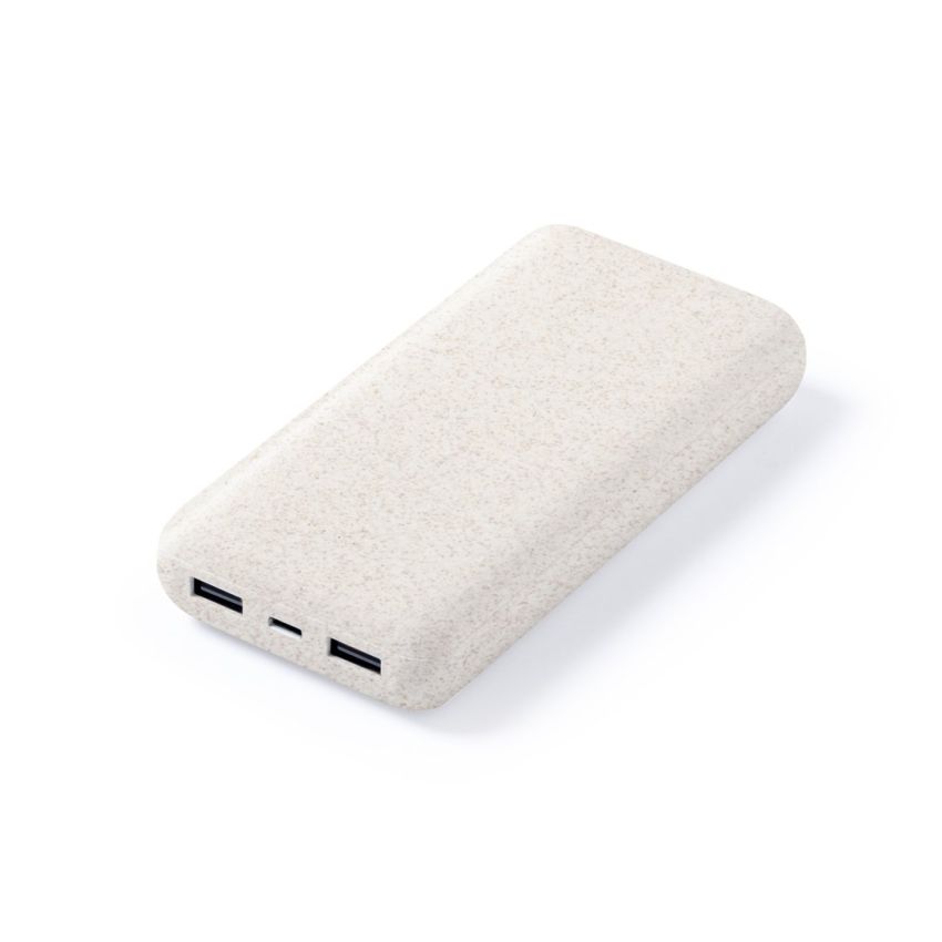 Batterie externe Golblum