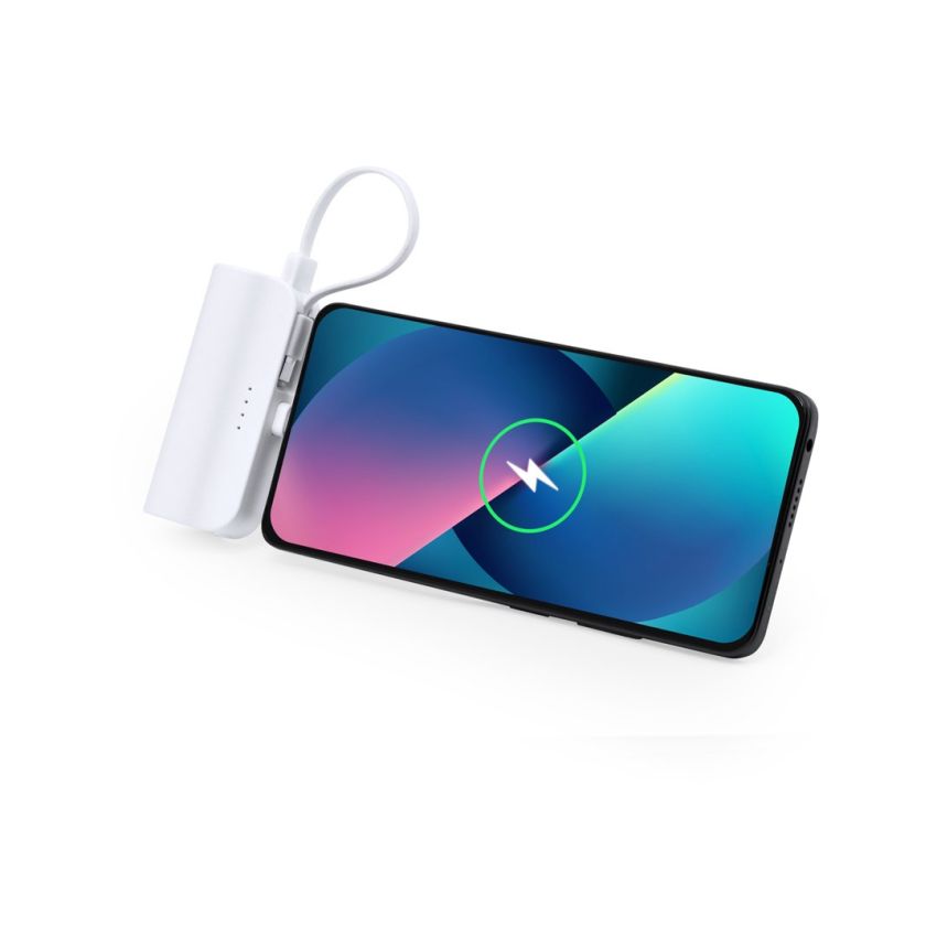 Batterie externe Laford
