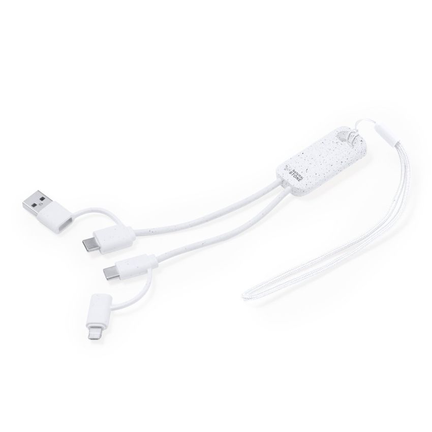 Câble de Chargeur Surgex