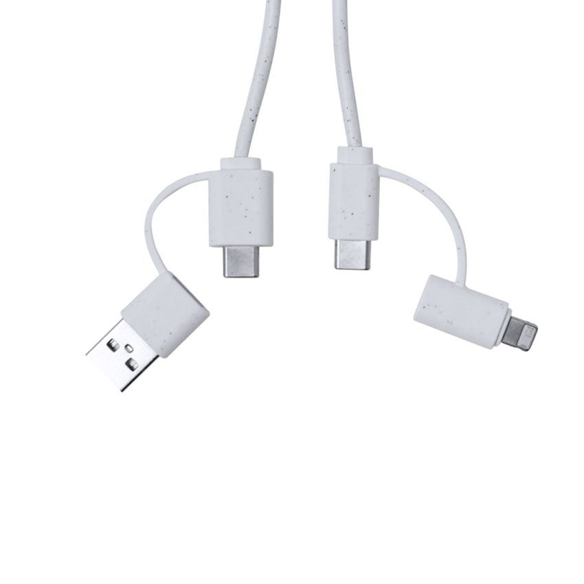 Câble de Chargeur Surgex