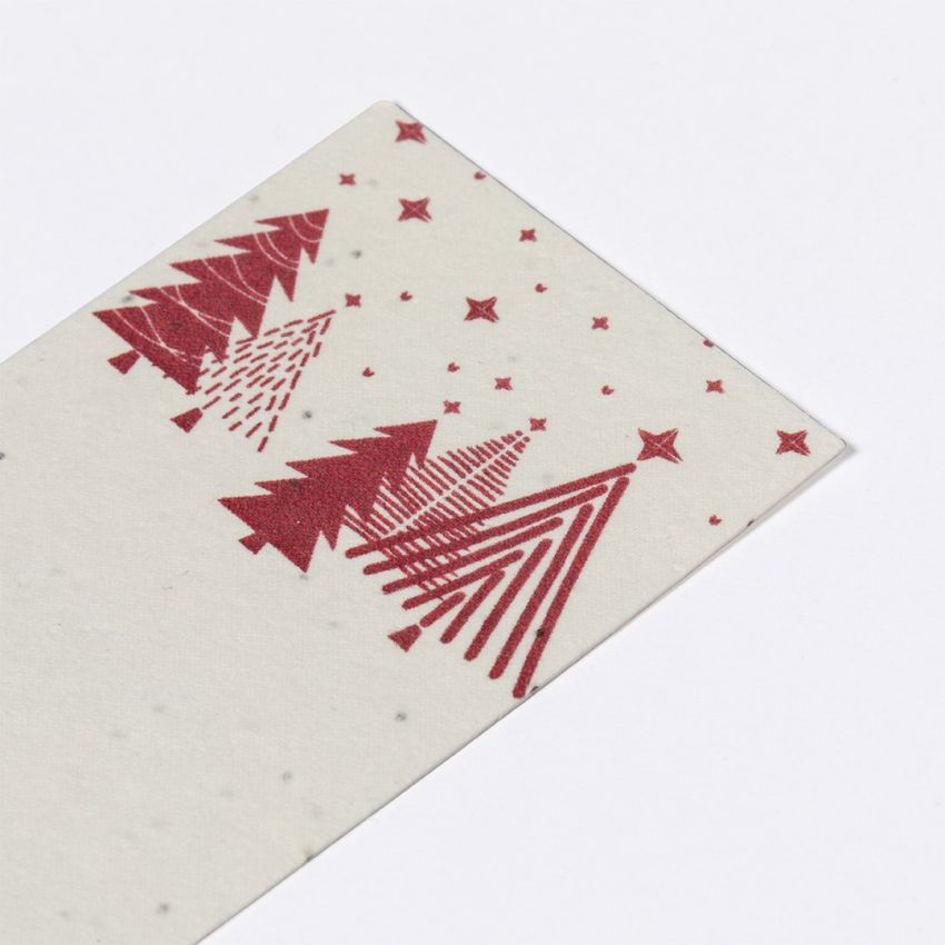 Marque-page Graines Baird