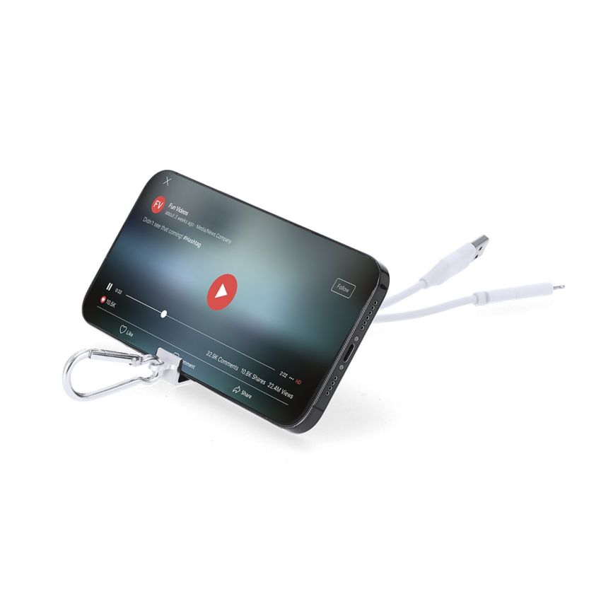 Chargeur USB de voiture Leony
