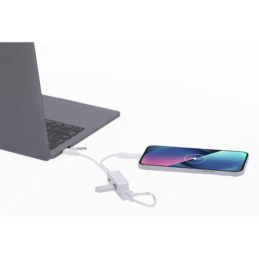 Chargeur USB de voiture Leony