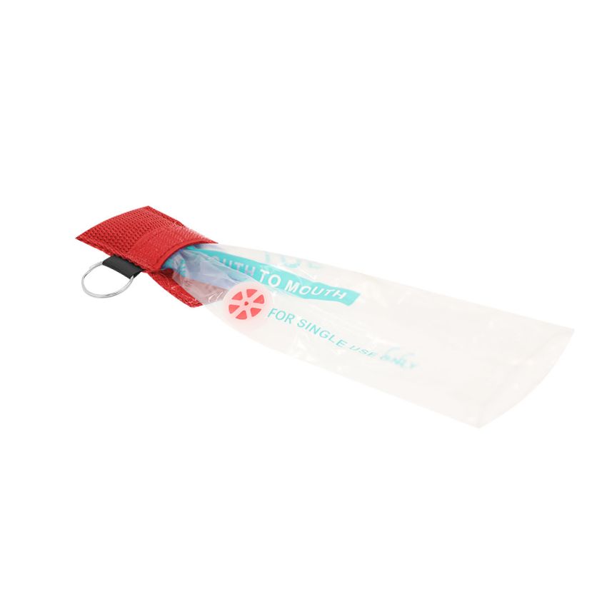 Porte-clés Masque RCP Ibanor