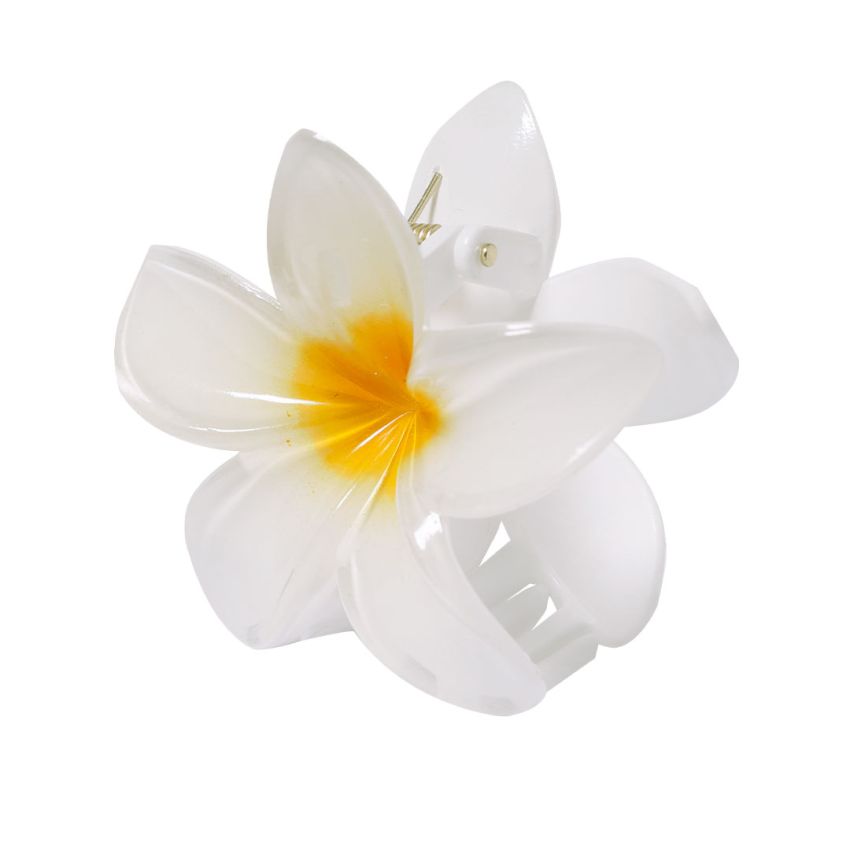 Barrette à Cheveux Tixcon