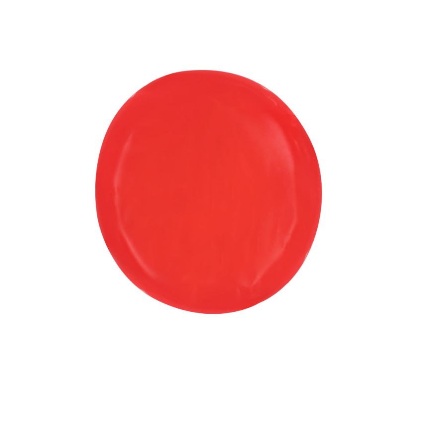 Coussin Frisbee Zalox