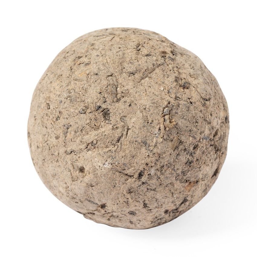 Bombon Graines Mussox