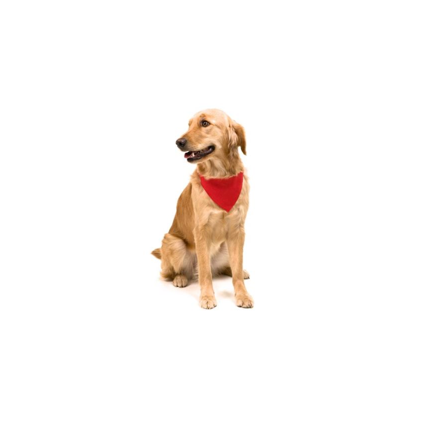 Bandana col Roco