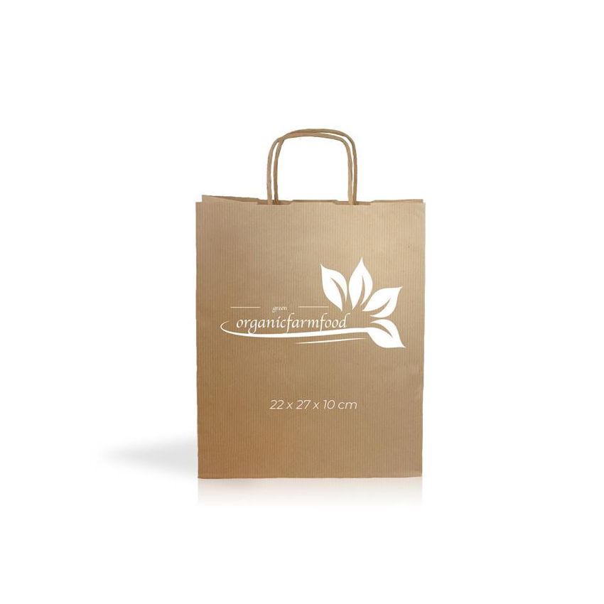Kraft04 Sac en papier kraft 90g/m2 22X27X10cm