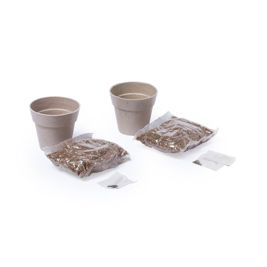Ensemble de verres Nertel