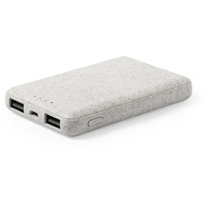 Batterie externe Shiden