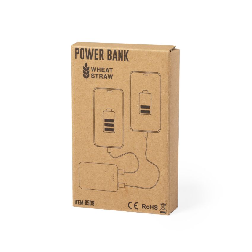 Batterie externe Shiden