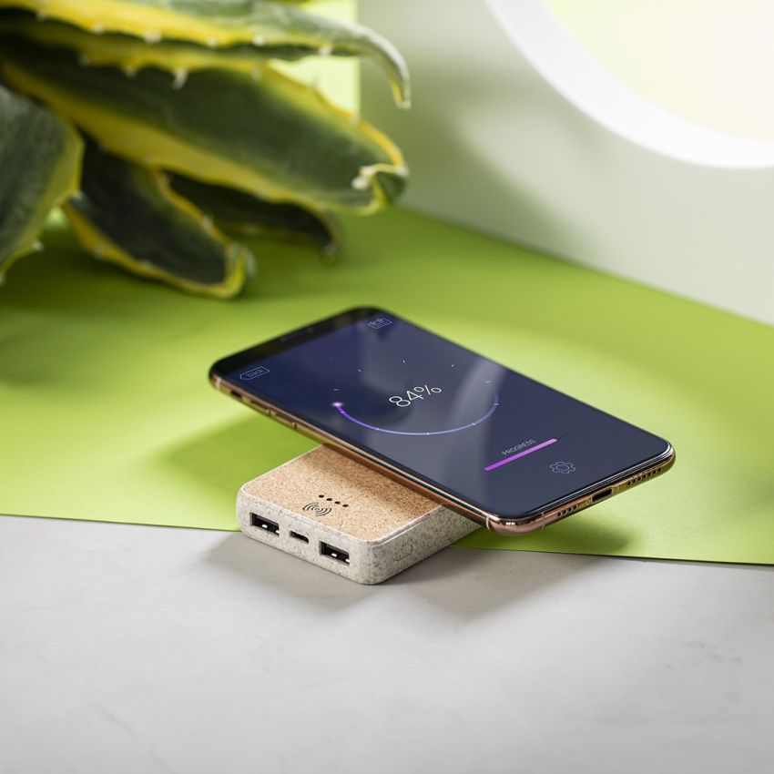 Batterie externe Merak