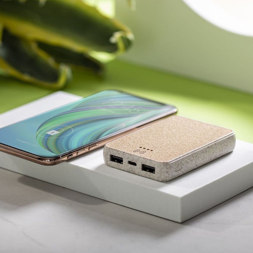 Batterie externe Merak