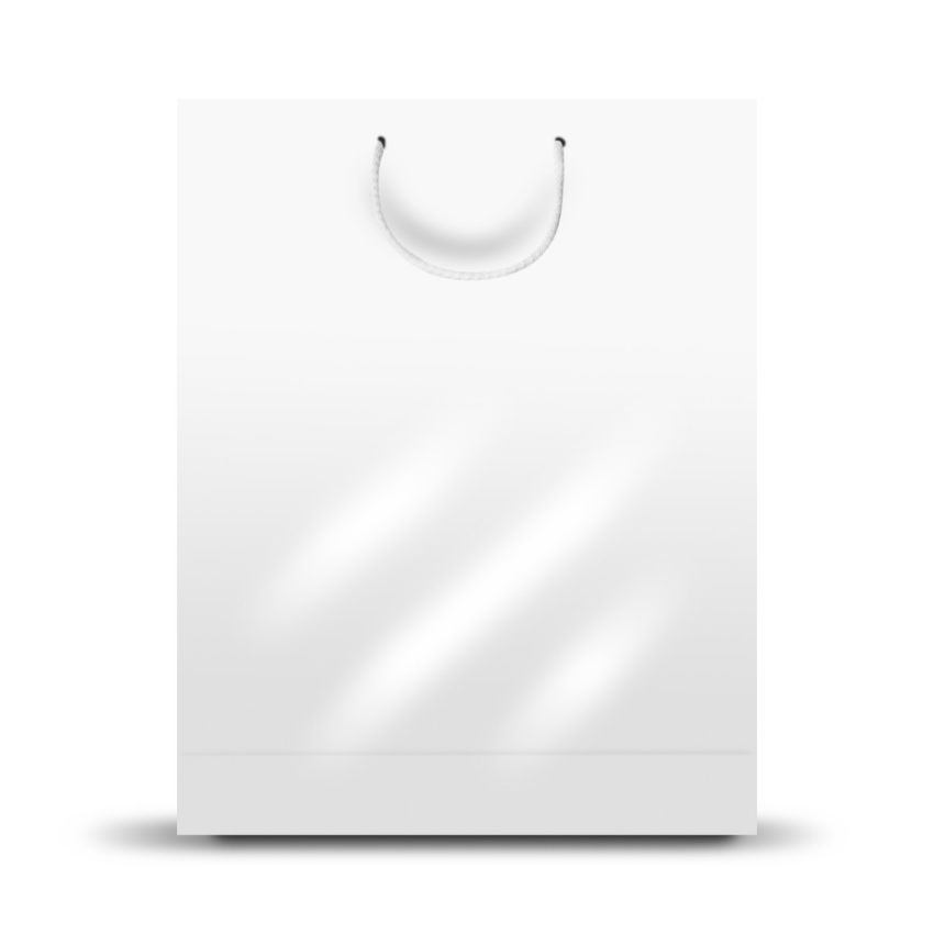 GrandBag Grand Sac en Papier, Vertical, Brillant