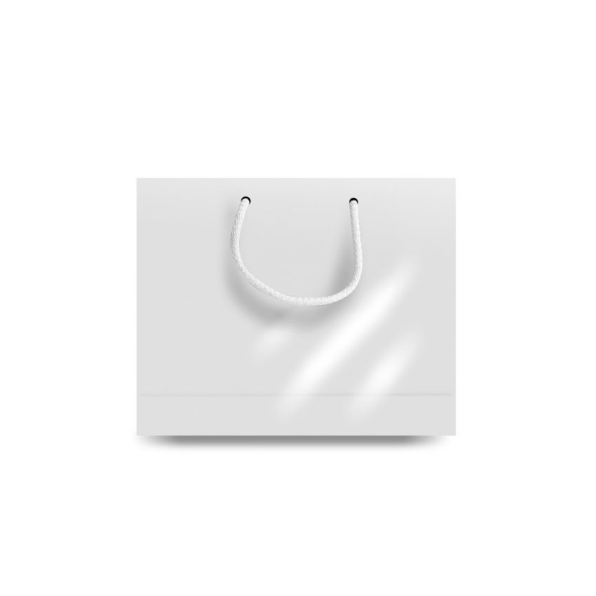 MiniBag Sac en Papier Petit, Horizontal, Brillant