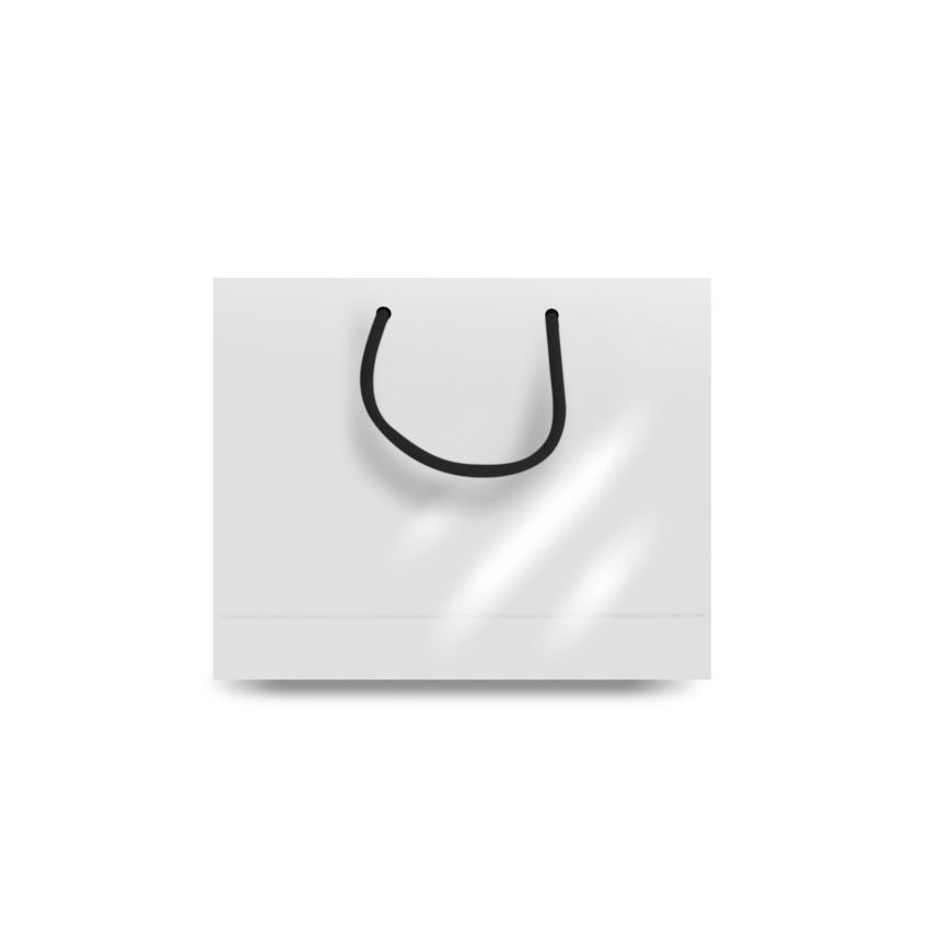 MiniBag Sac en Papier Petit, Horizontal, Brillant