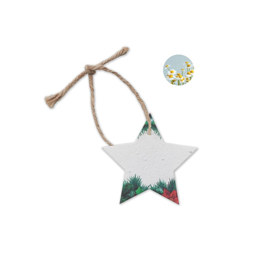 Papier ensemencé de Noël
