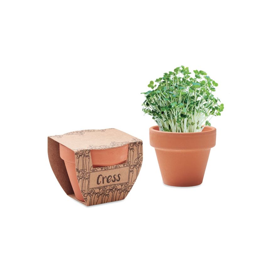Cresson en pot