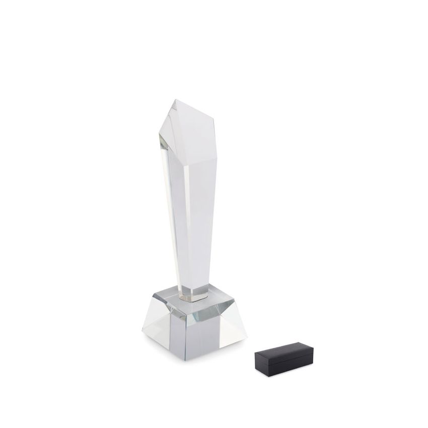Trophée en cristal dans une boîte
