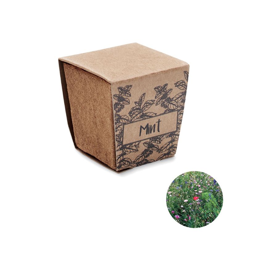 Kit de culture de graines de menthe