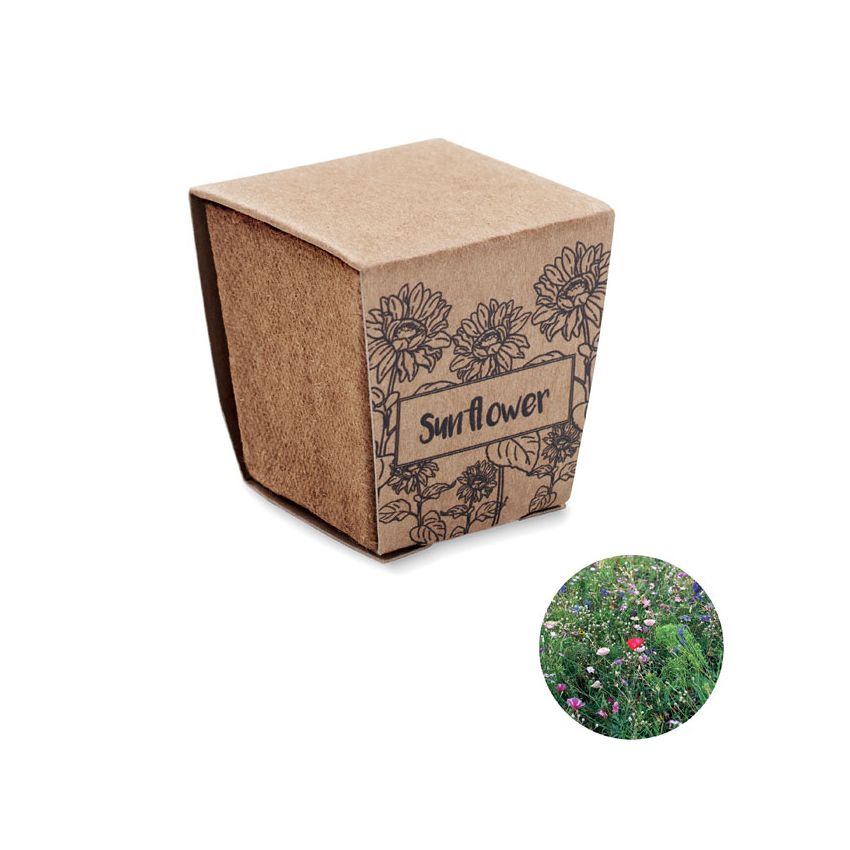 Kit de culture de tournesol