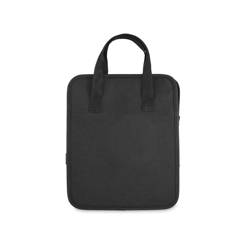 Organisateur pour voiture