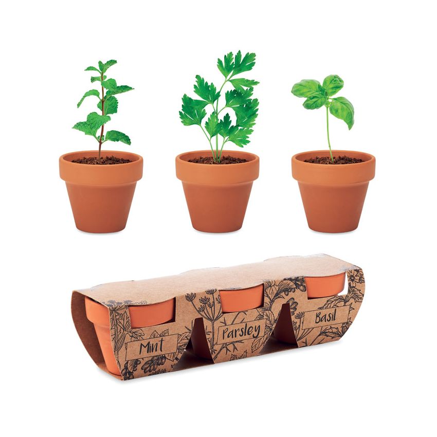Set de pots en terre cuite pour 3 herbes