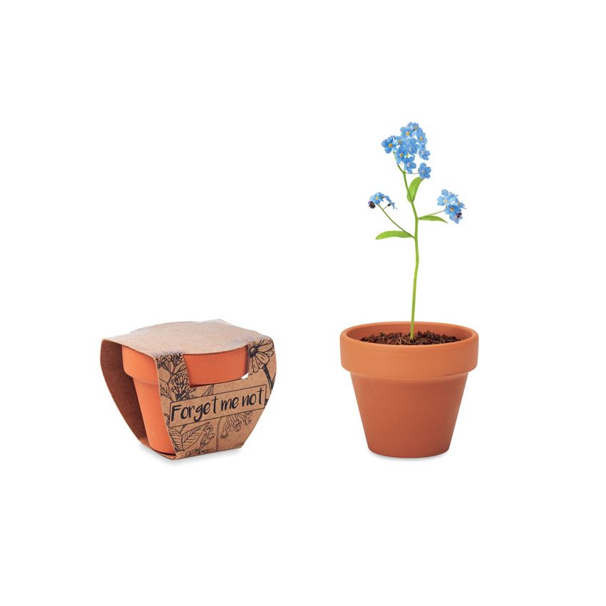 Vase en terre cuite 'myosotis'