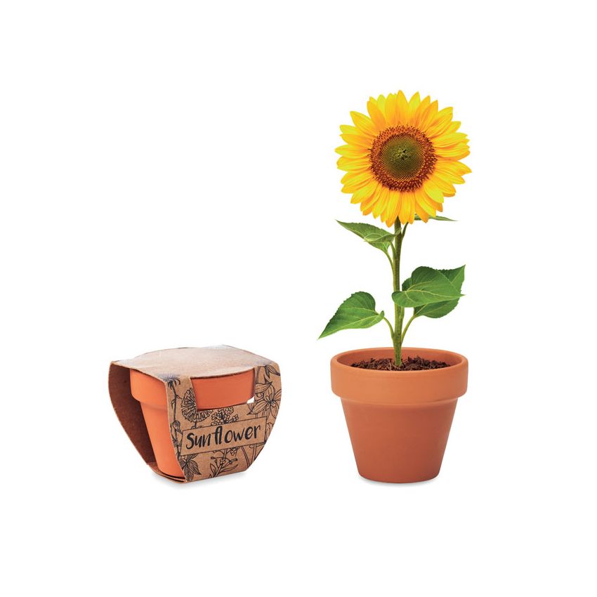 Vase en terre cuite 'tournesol'
