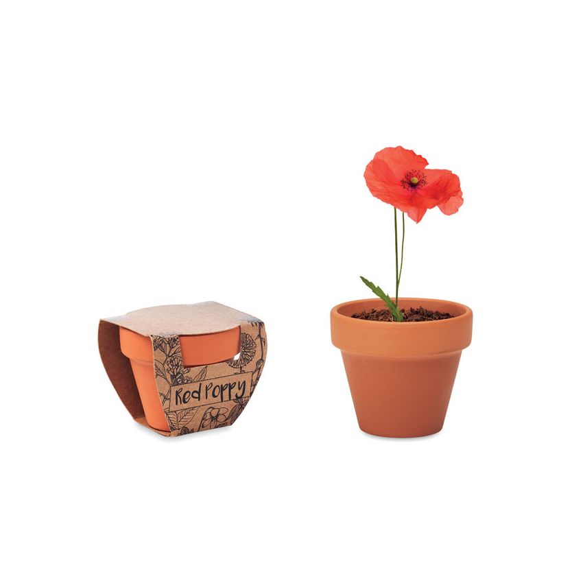 Vase en terre cuite 'pavot'