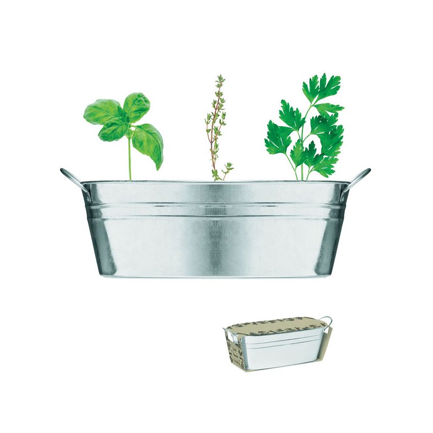 Vase 3 graines d’herbes