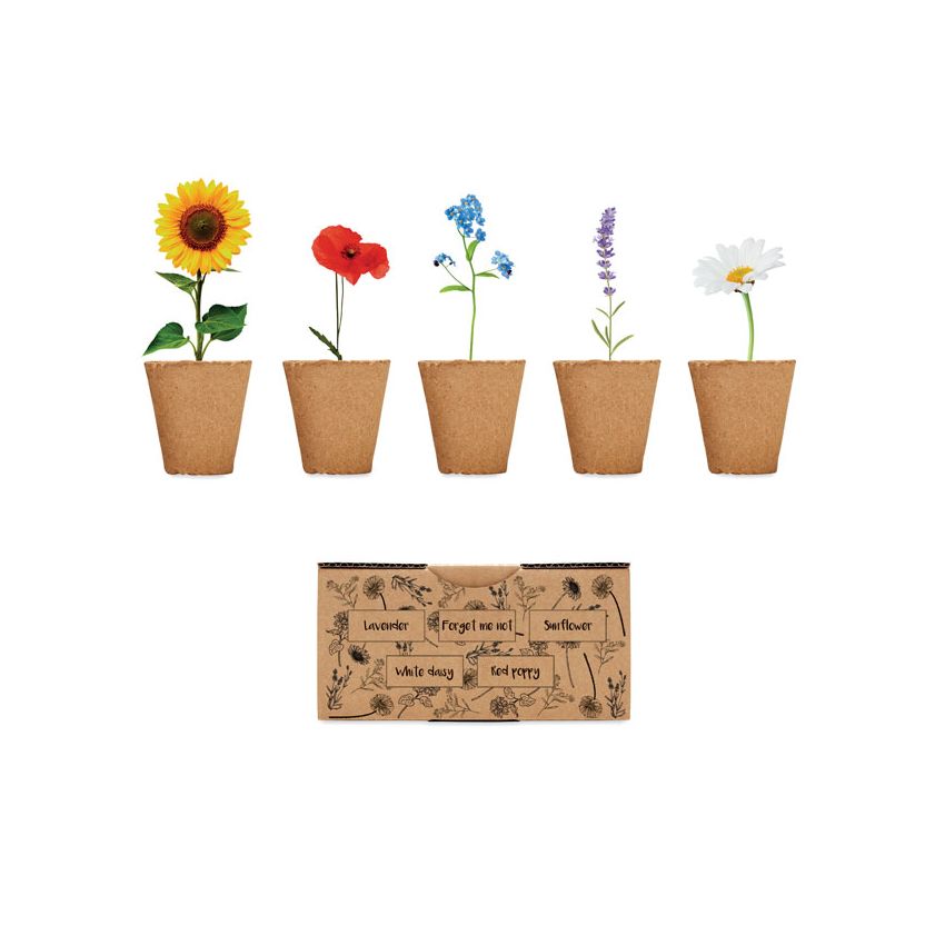 Kit de culture de fleurs