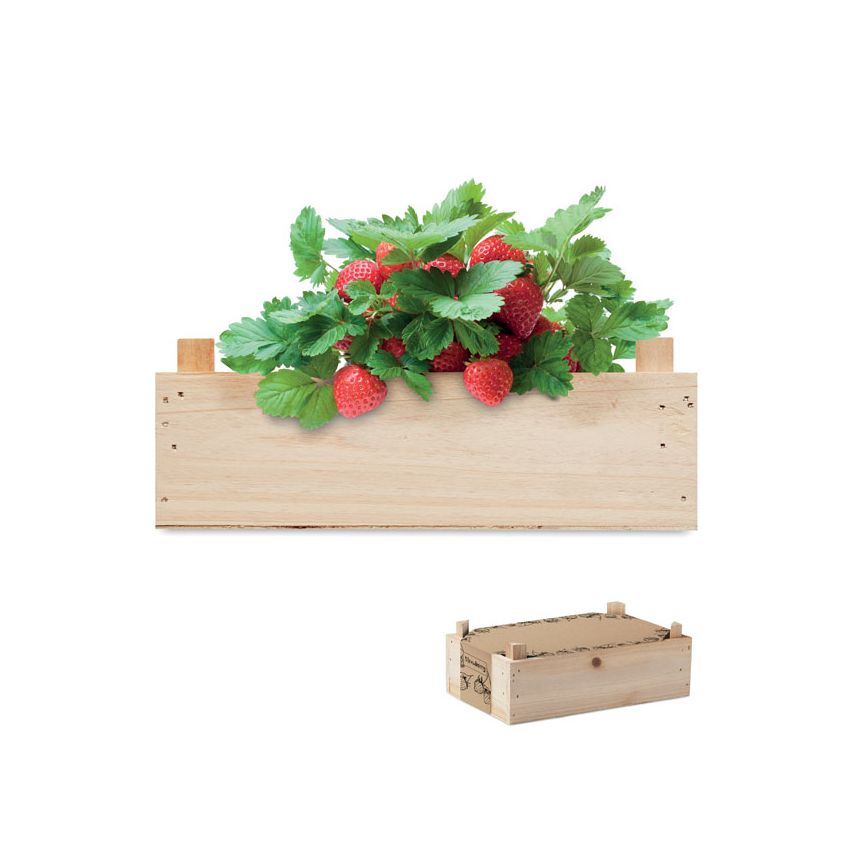Kit fraises boîte en bois