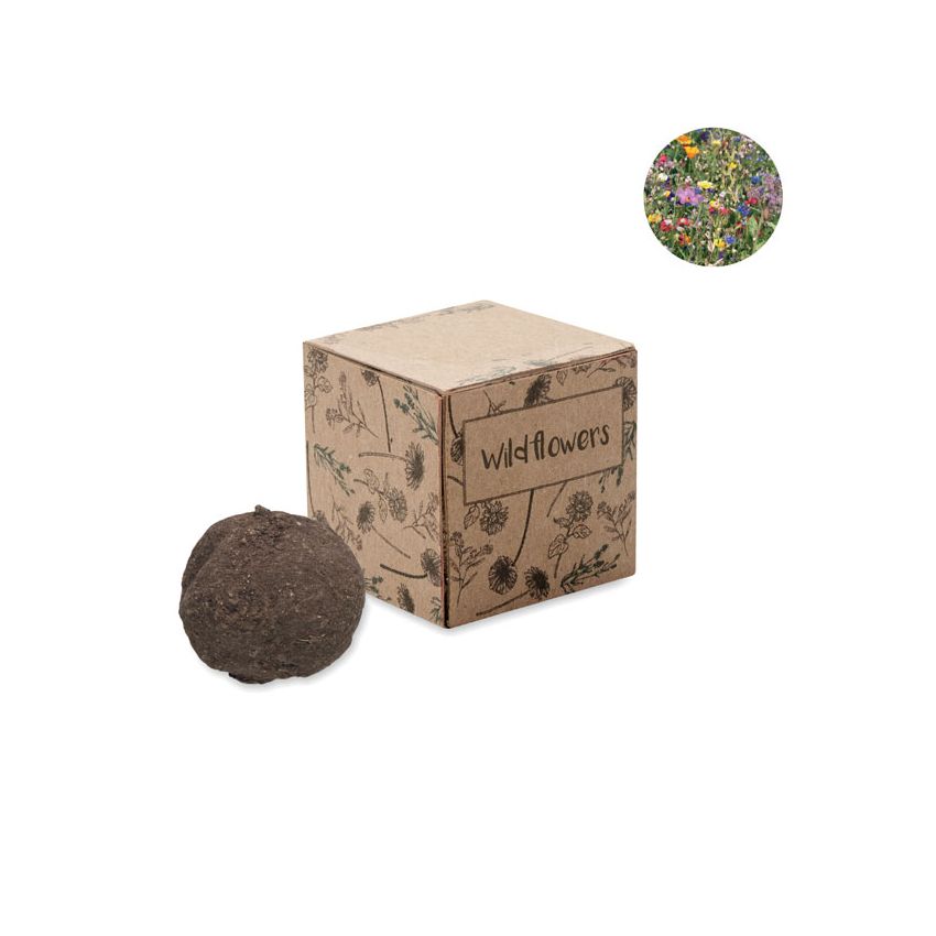 Kit de culture bombes de graines