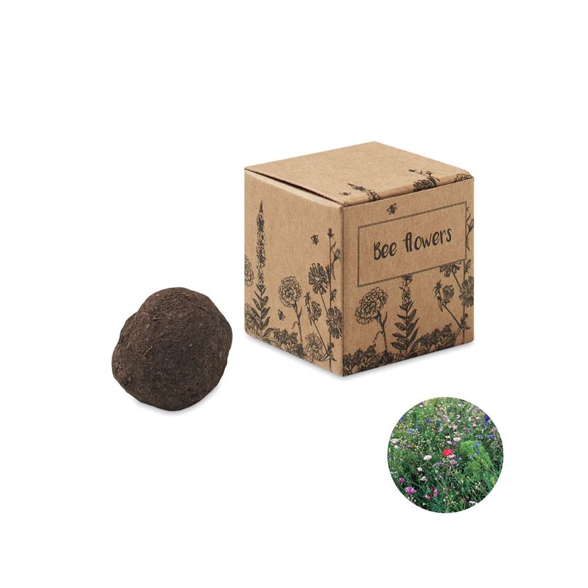 Kit de graines fleurs d’abeille