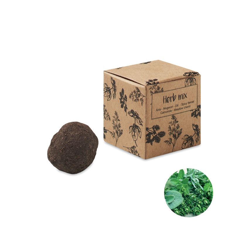 Kit de graines d'herbes