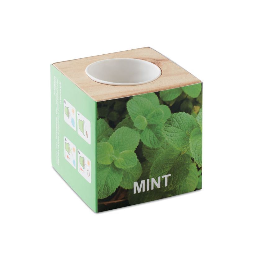 Porte-graines Menthe