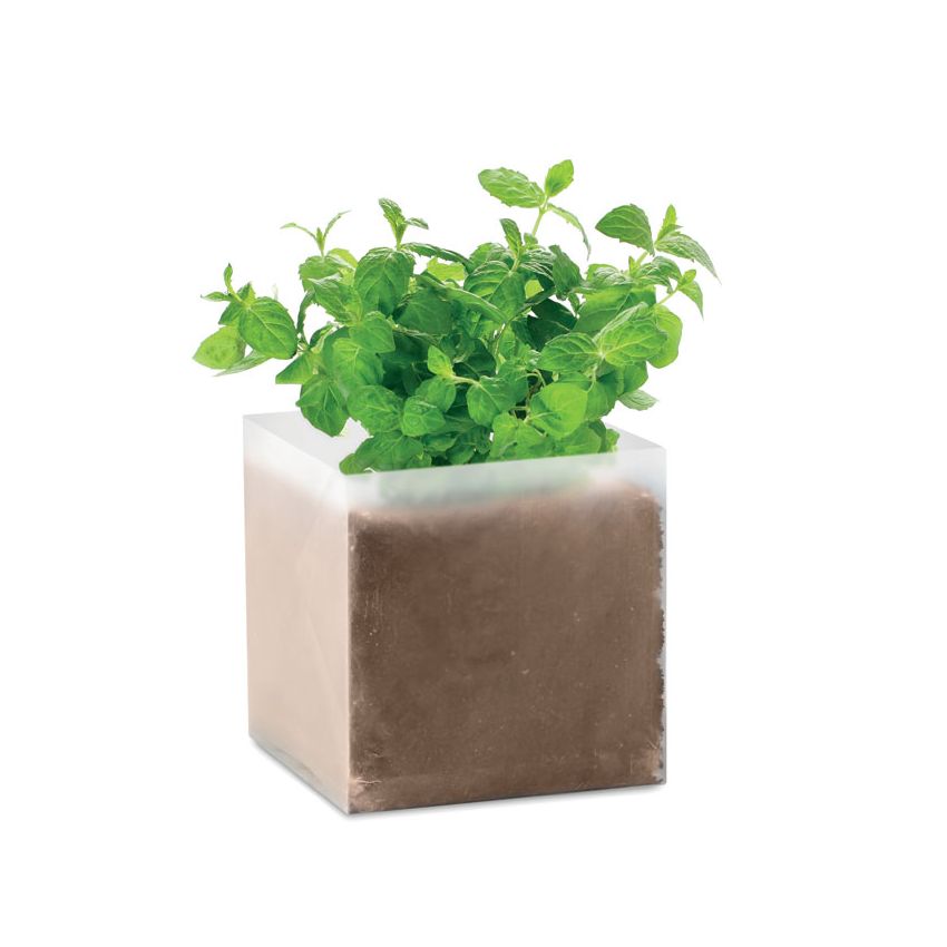 Mélange de graines Menthe