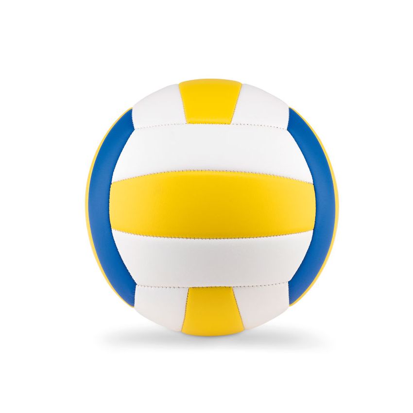 Ballon de volley-ball