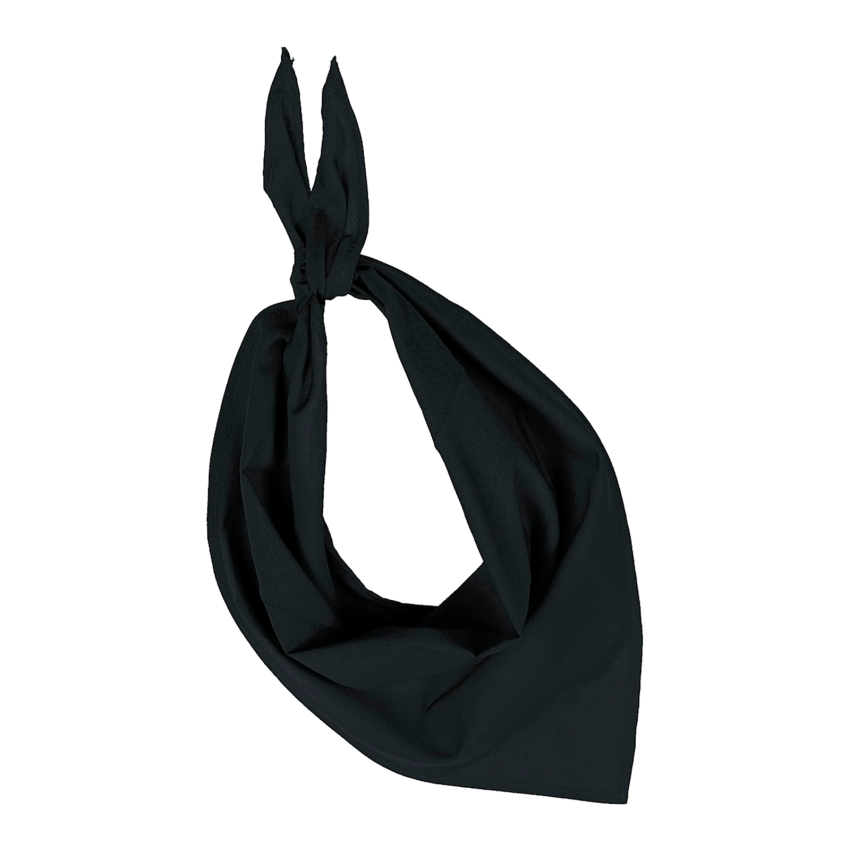 Fiesta - Foulard